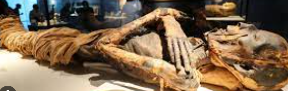 Menemukan bahan balsam mumi mesir kuno